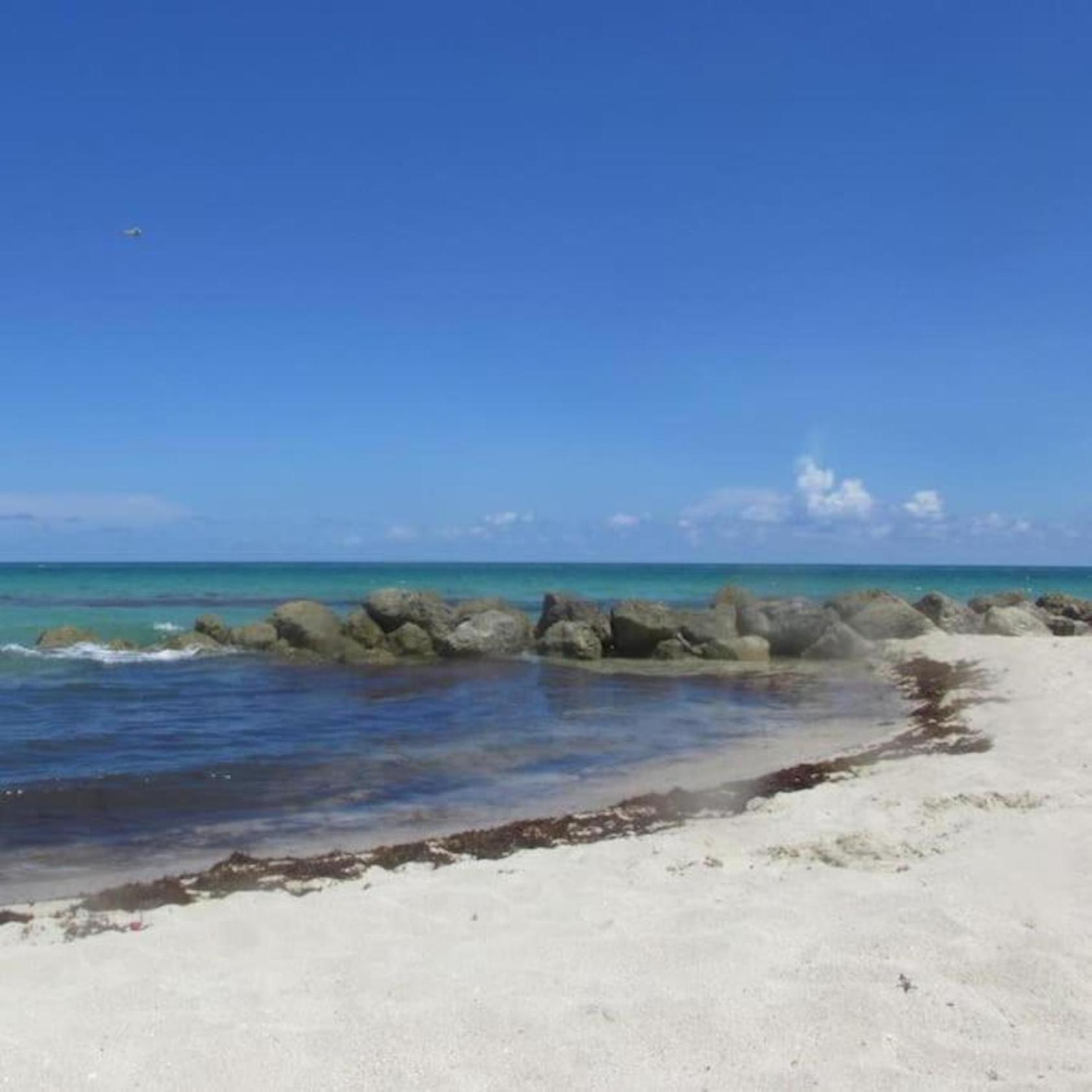 Ocean Breeze With Parking By The Apartamento